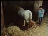 Rare amateur zoo fetish sex movie that was captured by boyfriend as his lover sucked beast